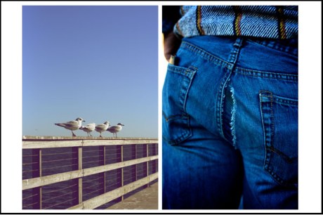 15 oak island picture